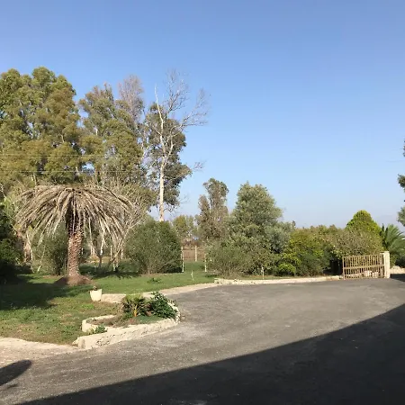 American * Cisterna di Latina