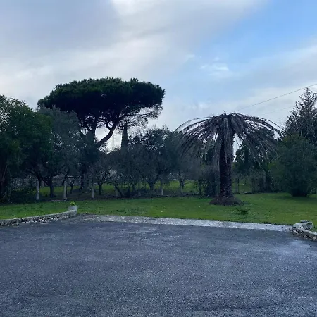 American * Cisterna di Latina